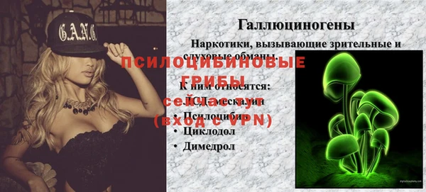 сатива Алексеевка