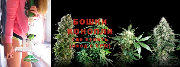 spice Галич