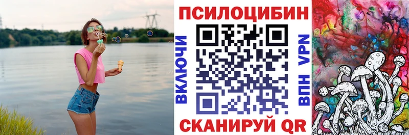 Псилоцибиновые грибы Psilocybine cubensis  как найти закладки  кракен ТОР  Артёмовск 